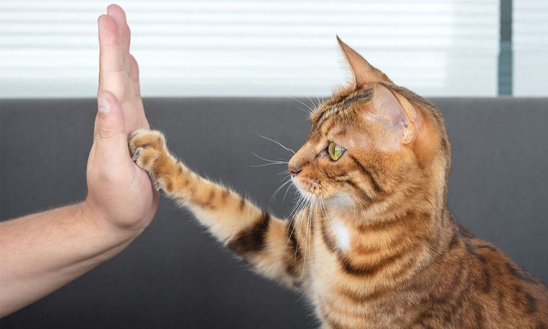 Engage in Training Sessions