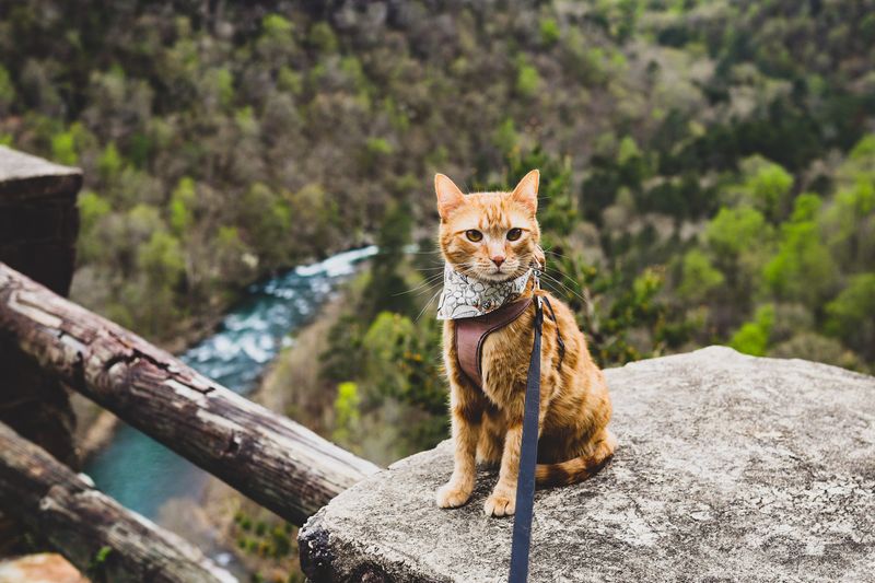 Exploring Outdoors Safely