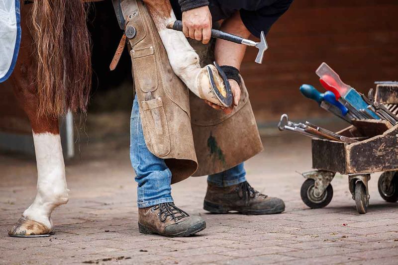 Farrier Services