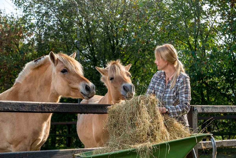 Feeding and Nutrition