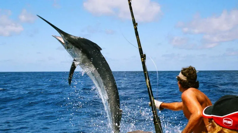 Florida: Blue Marlin