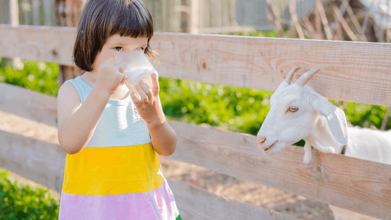 Goat's Milk Benefits