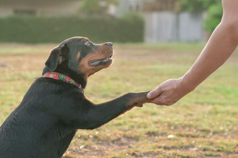 Greeting Enthusiastically