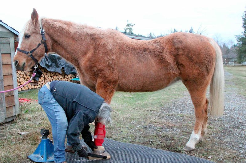 Ignoring Hoof Care