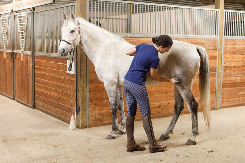 Improper Grooming Techniques