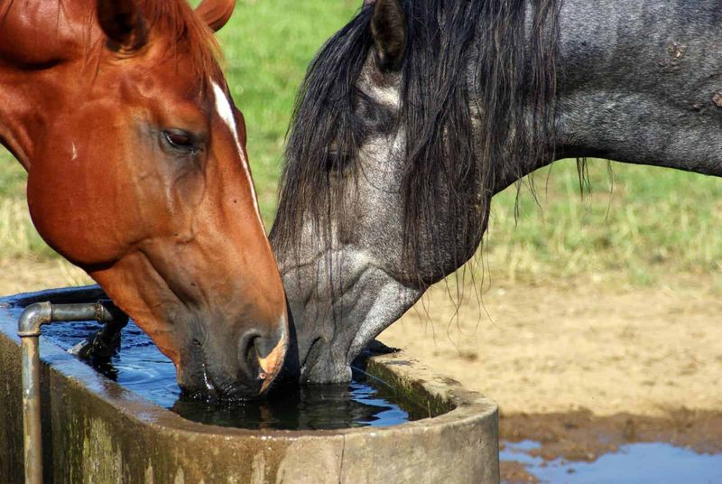 Inadequate Hydration