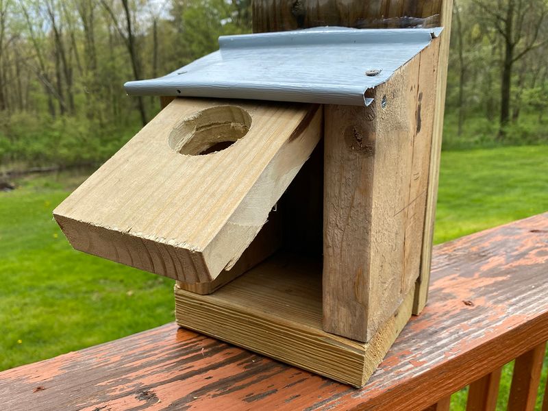 Install Nesting Boxes