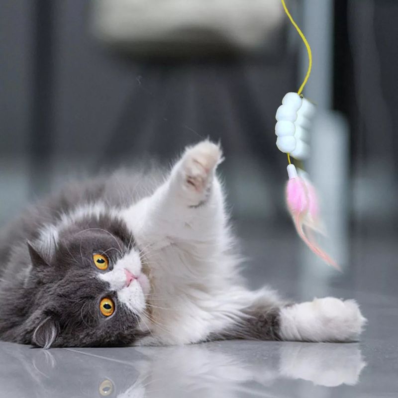 Interactive Toys