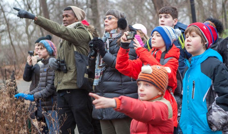 Join Birdwatching Groups