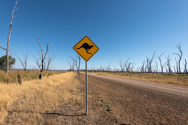 Kangaroo Road Signs