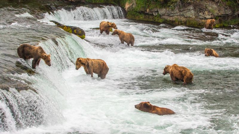 Katmai National Park, Alaska