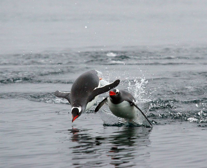 Leapfrogging from Water