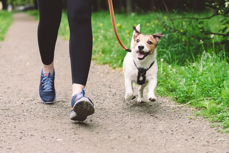 Leash Training