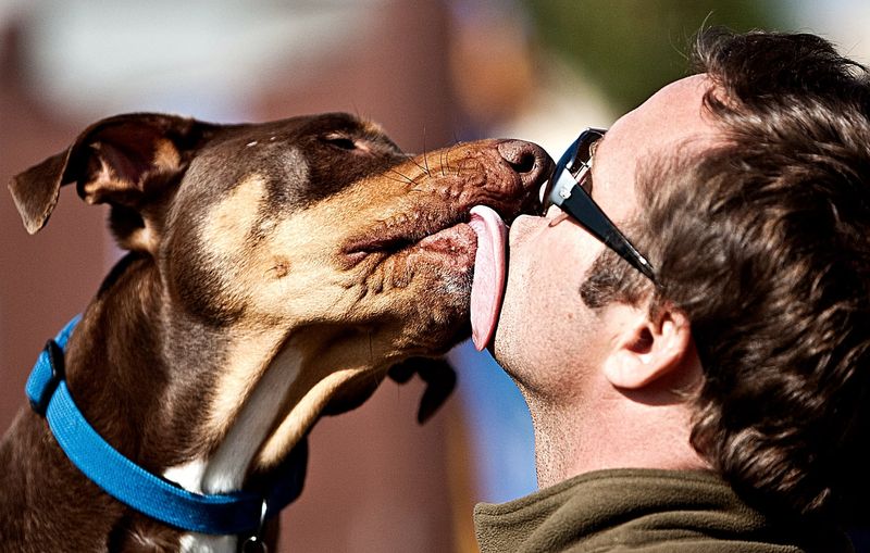 Licking You