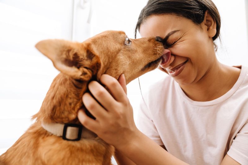 Licking Your Face