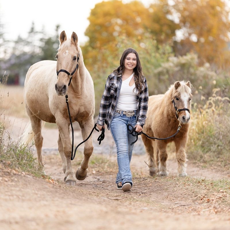 Majestic Companions