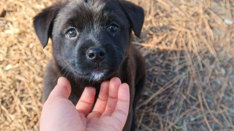 Making Eye Contact