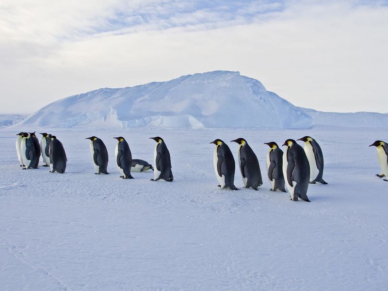 Marching in Line