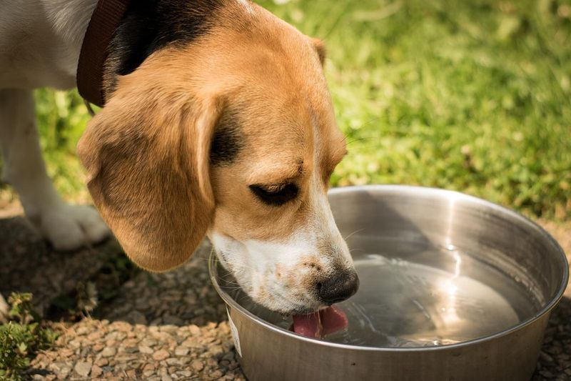 Monitor Water Intake