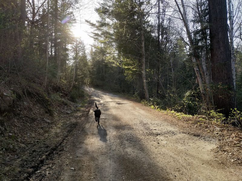 Nature Trail Hikes