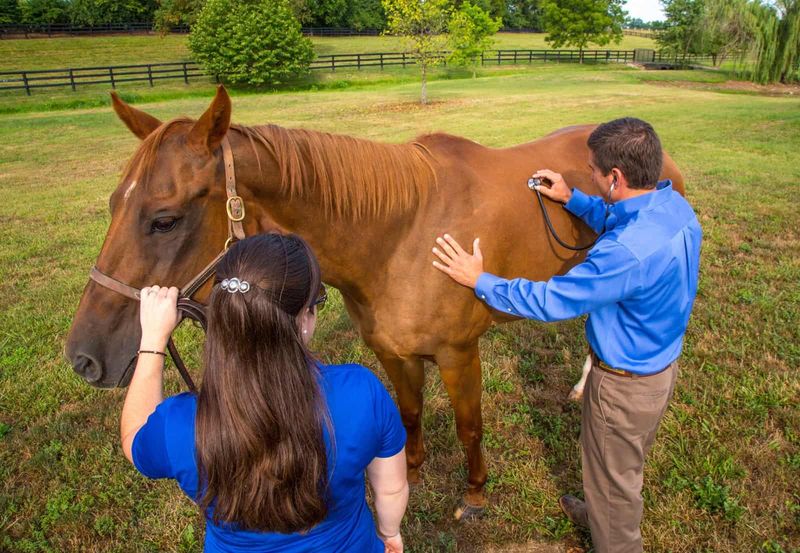 Neglecting Regular Veterinary Care