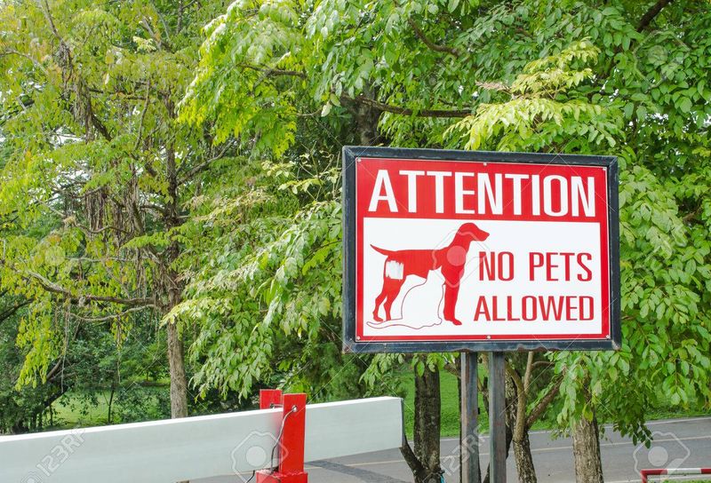 No Pets in Certain Parks