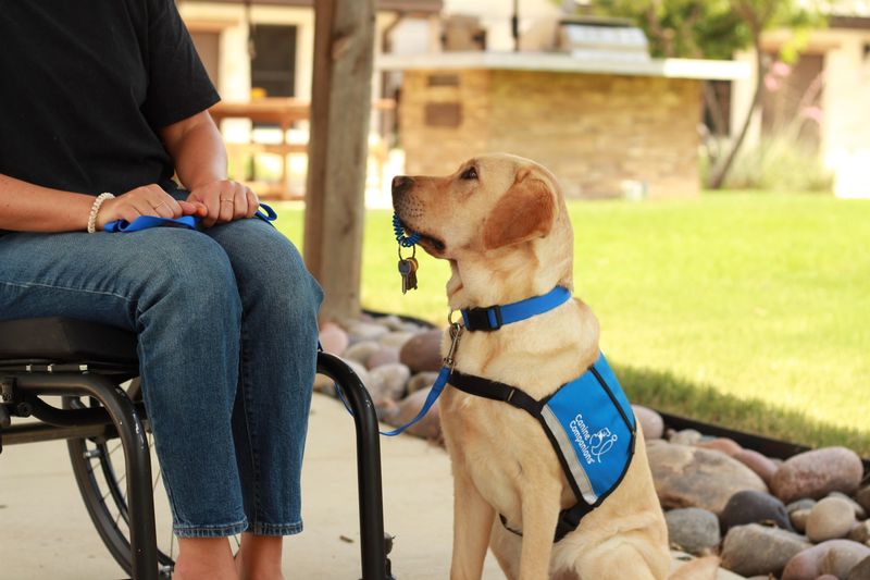 Offering Physical Assistance