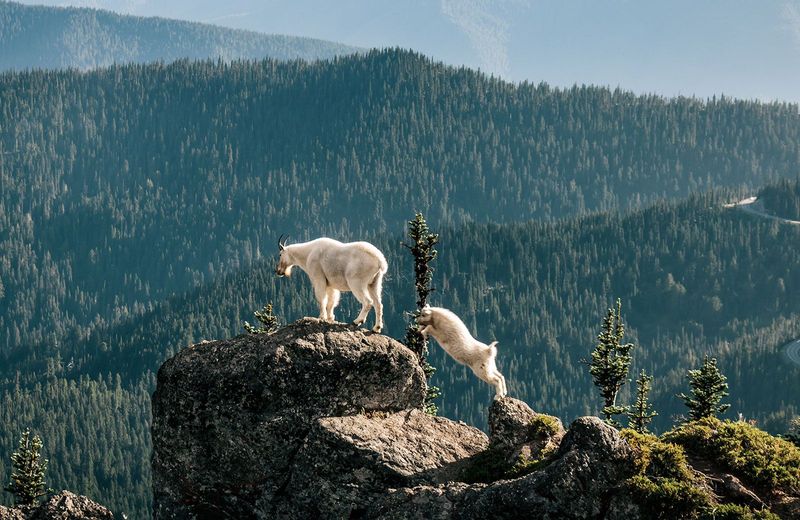 Olympic National Park, Washington