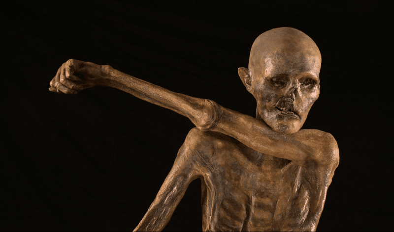 Otzi the Iceman