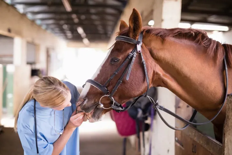 Overlooking Dental Health