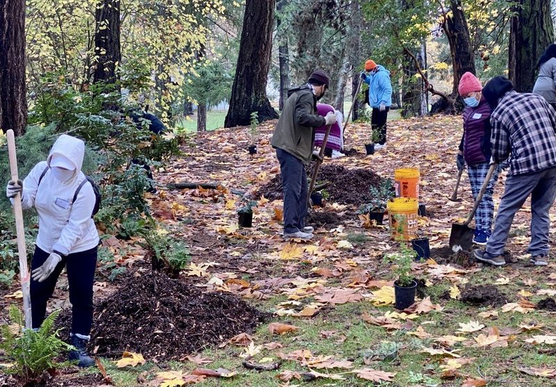 Participate in Habitat Restoration