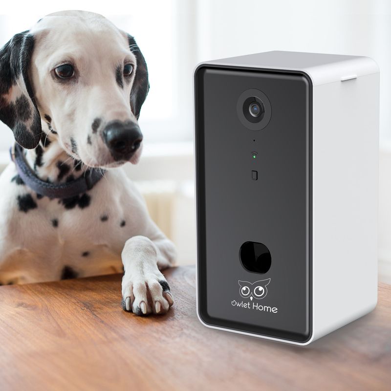 Pet Camera with Treat Dispenser