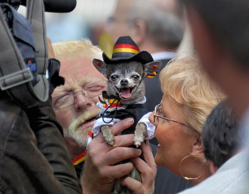 Pet Dress Code Enforcement