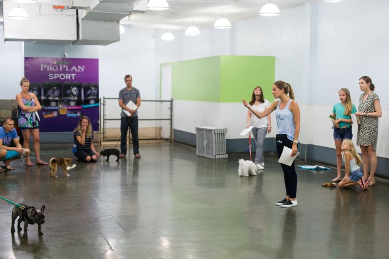 Pet-Friendly Fitness Classes