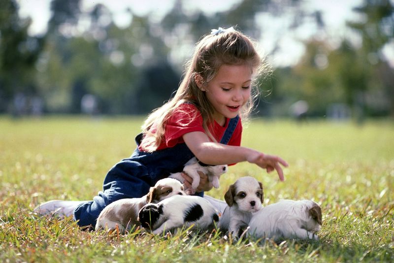 Puppies Have a Special Connection with Children