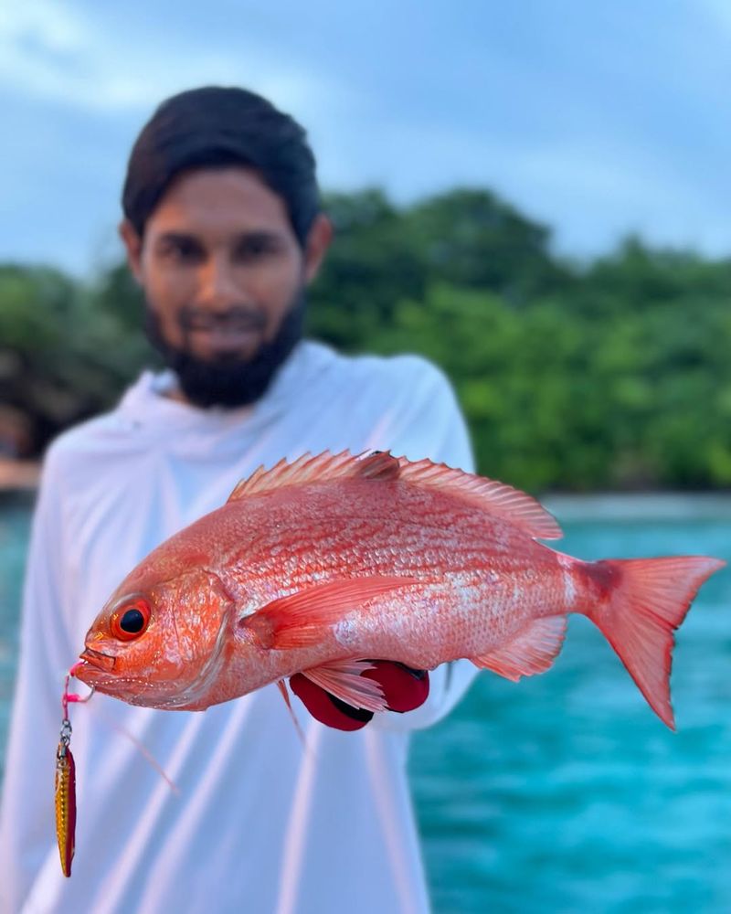 Red Snapper