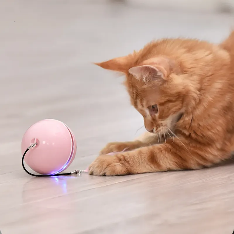 Rotating Toys