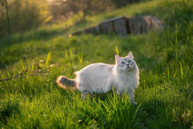 Safe Outdoor Exploration