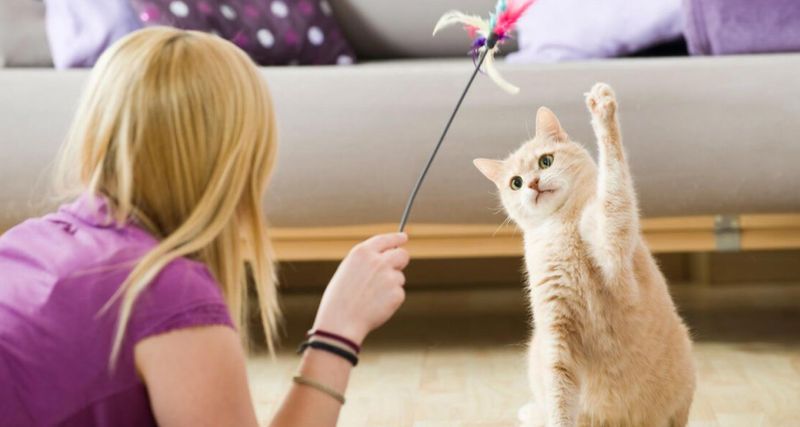 Scheduled Playtime
