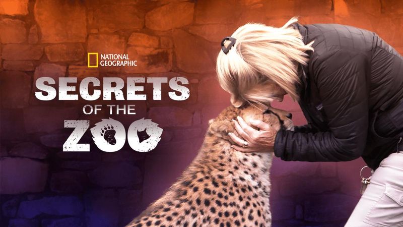 Secrets of the Zoo