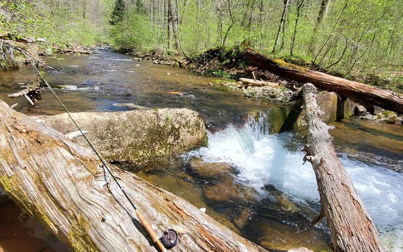 Shenandoah River, Virginia