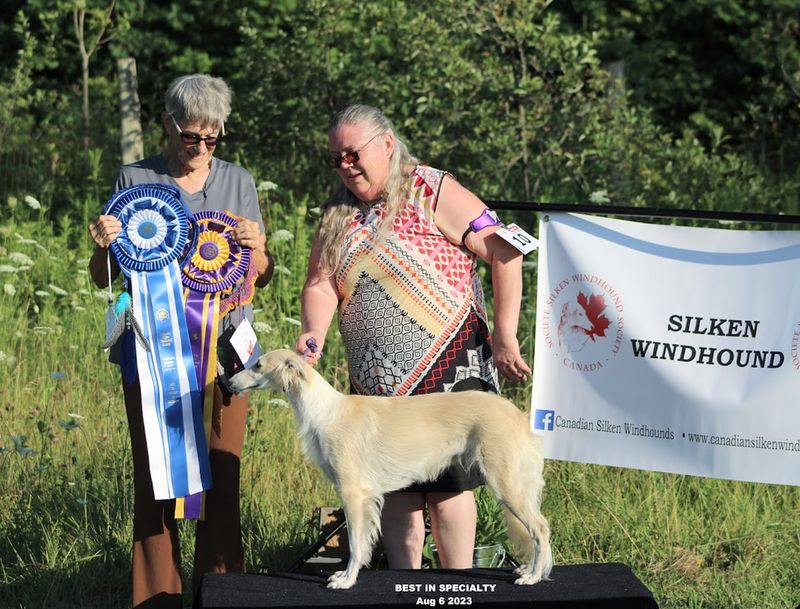 Silken Windhound Community