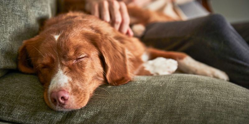 Staying Calm During Storms