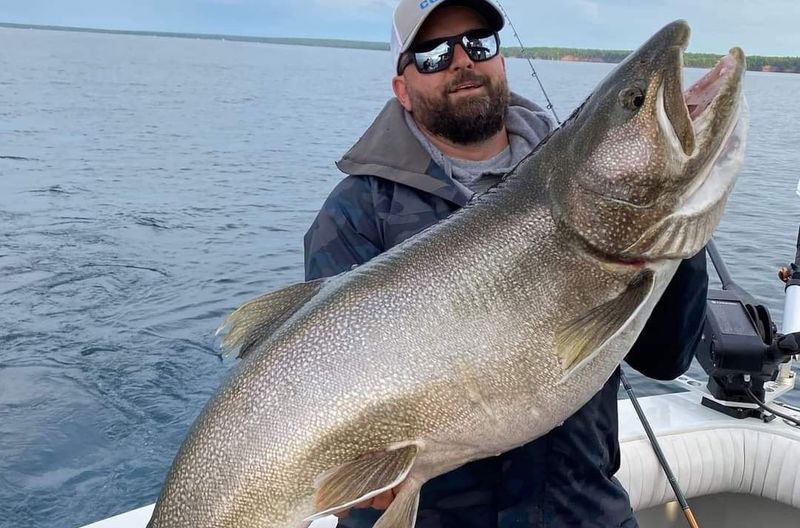 The Colossal Trout of Lake Superior