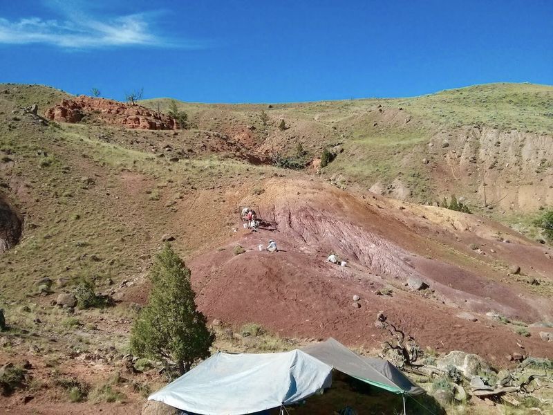 The Site of Discovery