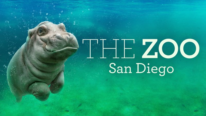 The Zoo: San Diego