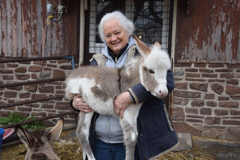 Therapeutic Companions
