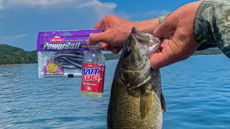 Utilize Scented Baits