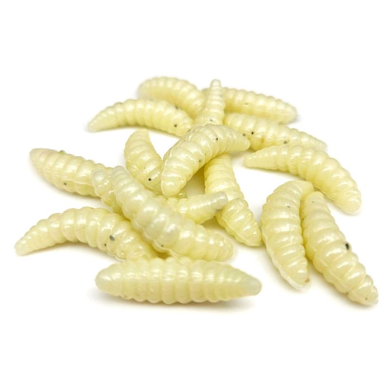 Wax Worms