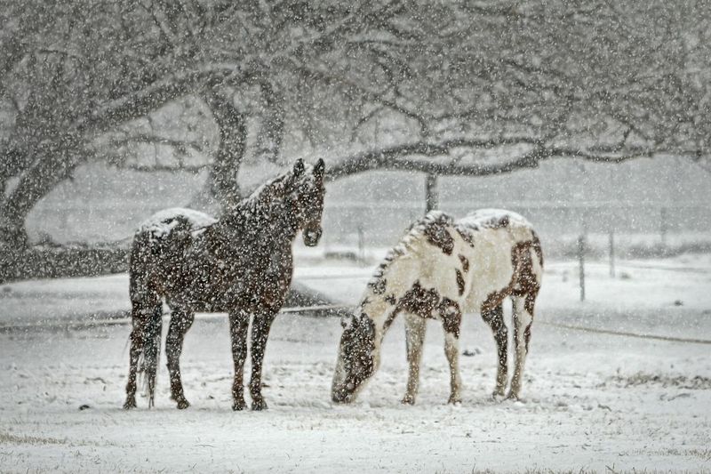 Weather Vulnerability